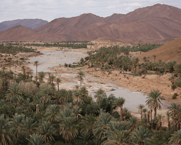 Secrets of the South: A Week in the Moroccan Sahara Desert