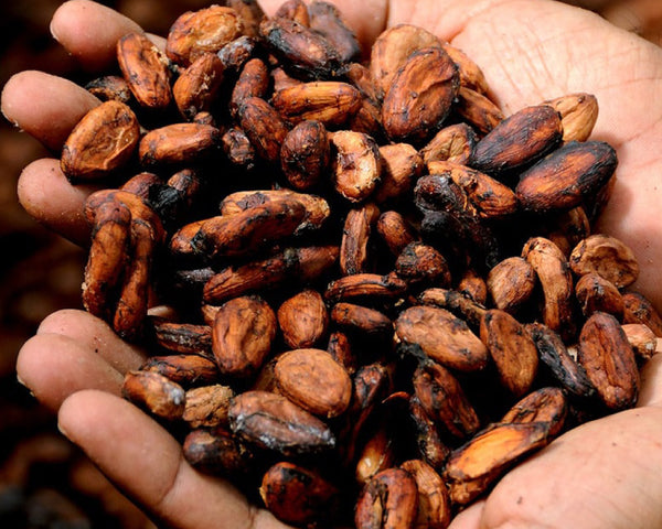DIY Cacao and Coffee Wellness Recipe from Ecuador