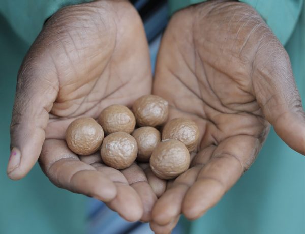 Macadamia Nut Oil in your Skin Care: Connecting Kenya with the World